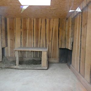 African Wild Dog House