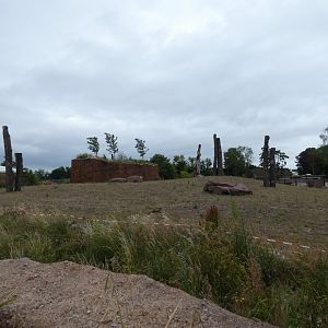Side view of Elephant outdoors