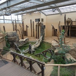 View of pool in Elephant house