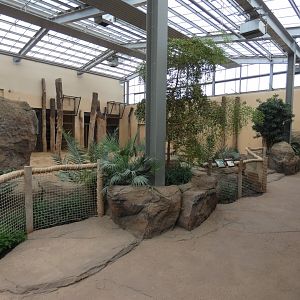 Viewing area in Elephant house