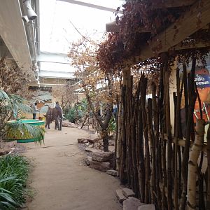 Education room in Elephant house