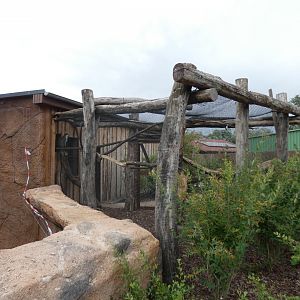 Grivet Monkey Outdoor Cage