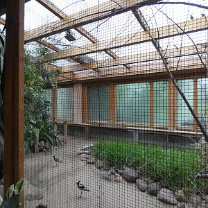 Aviary in Giraffe House