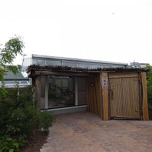 View of Sand Cat House