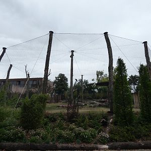 View of large walk-through aviary