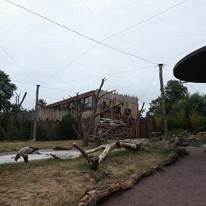 View inside walk-through aviary
