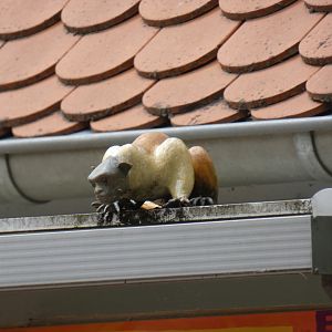 Pied Tamarin statue