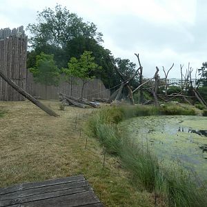 View of moated Chimp outdoor