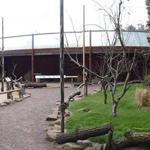 View of Australian Walk-through Aviary