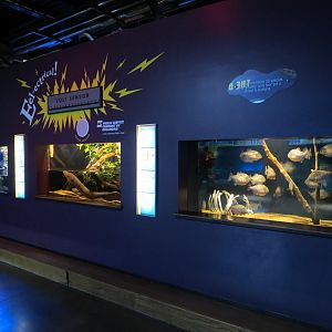 Marvels & Mysteries - Exhibits