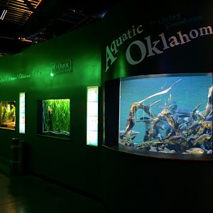 Aquatic Oklahoma - Exhibits