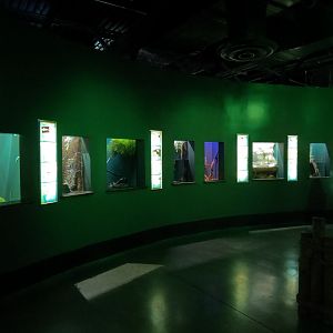 Aquatic Oklahoma - Exhibits