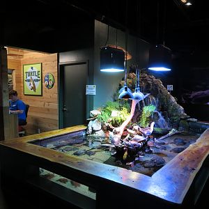 Aquatic Oklahoma - Turtle Feed Pond