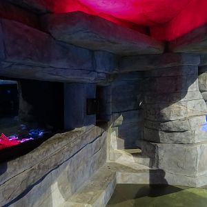 The Ecozone - Discovery Caves
