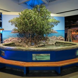 The Ecozone - Shark and Ray Touch