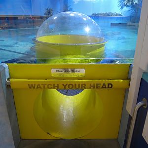 Sea Turtle Island Exhibit