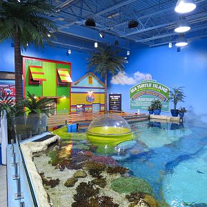 Sea Turtle Island Exhibit