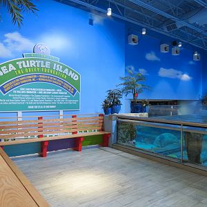 Sea Turtle Island Exhibit