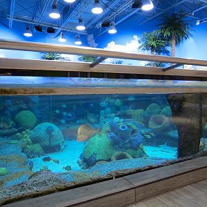 Sea Turtle Island Exhibit