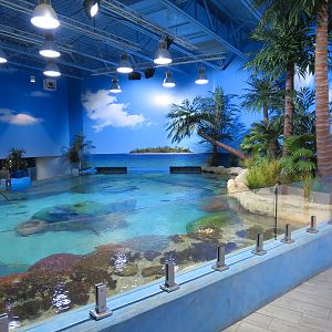 Sea Turtle Island Exhibit