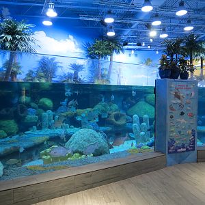 Sea Turtle Island Exhibit