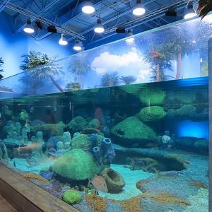Sea Turtle Island Exhibit