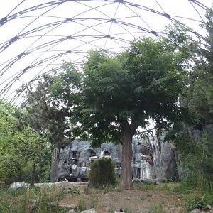 Large walk-through aviary