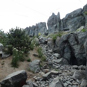 View of Snow Leopard enclosure (2)