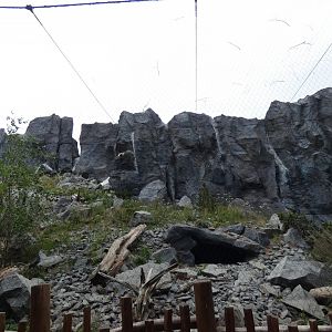 View of Snow Leopard enclosure (3)