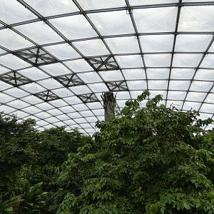 View of Gondwanaland