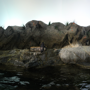 Jul. 2018 - Penguin & Puffin Coast (Left Exhibit Panorama)