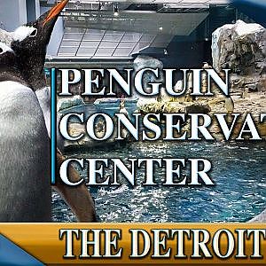 Zoo Tours Ep. 26: Penguin Conservation Center - YouTube