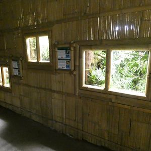 Amphibian and Gecko enclosures in Gondwanaland