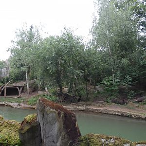 View of Amur Tiger enclosure