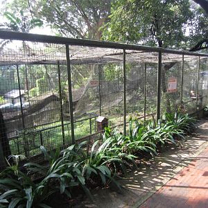 Indian Hornbill Aviary