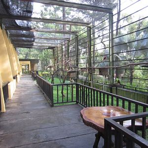 Interior of Parrot Aviary
