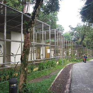Oriental Bird Aviaries