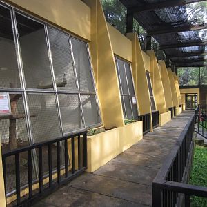 Parrot Aviaries within a Parrot Aviary.