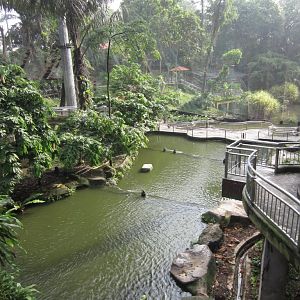 Waterfall Aviary