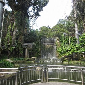 Waterfall Aviary