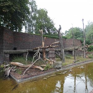 Lion-tailed Macaque enclosure