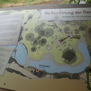 Map of Cheetah/Black Rhino/Patas Monkey exhibit