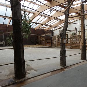 View of Giraffe house