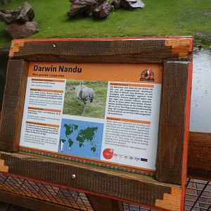 Signage style in new South America area