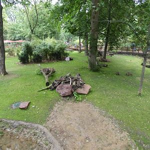 Patanal exhibit in new South American area (2)