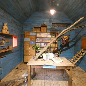White-nosed Coati indoor exhibit in new South American exhibit