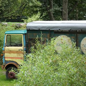 Themed viewing area in new South America exhibit