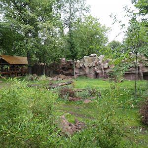 Pampas enclosure in new South America exhibit