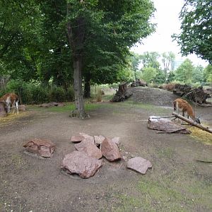Patagonia exhibit in new South America exhibit