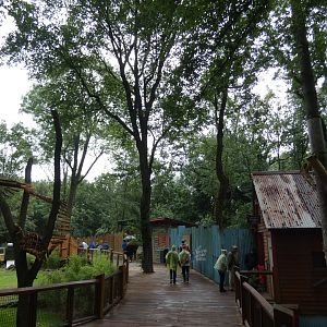 View of future connecting bridge for White-nosed Coati in new South America exhibit